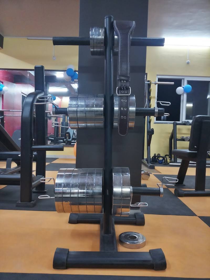 PREDATOR GYM AND FITNESS